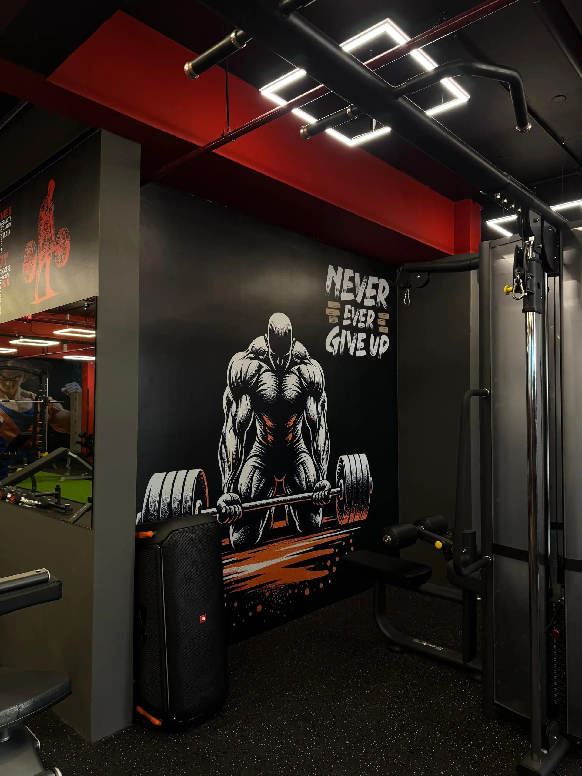 Iron House Fitness – cable machines