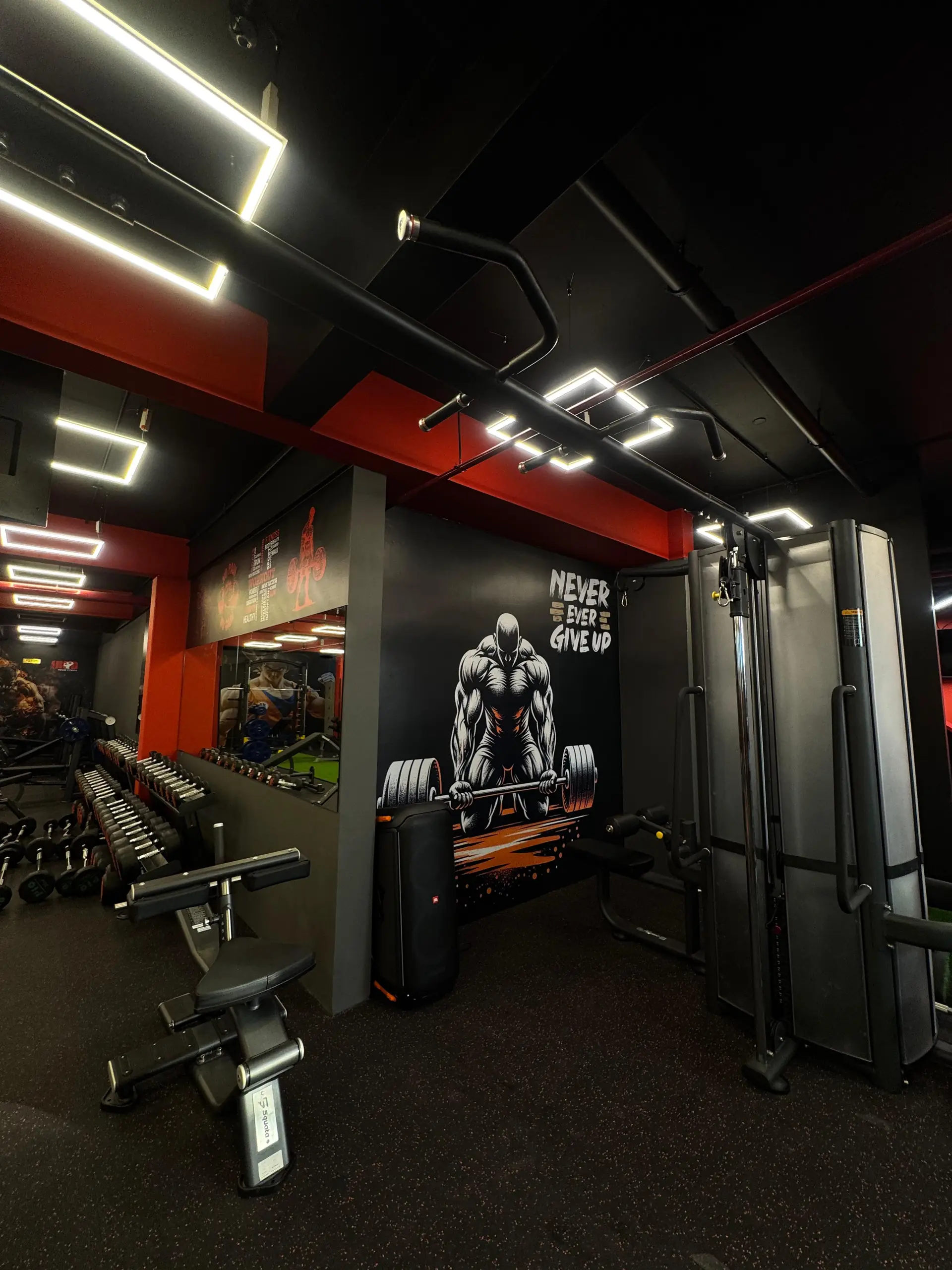 Iron House Fitness – equipment zone